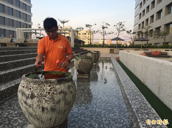 被旅客留在飯店的烏龜「小龜」就住在飯店4樓的「水景套房」水缸內。（記者王捷攝）