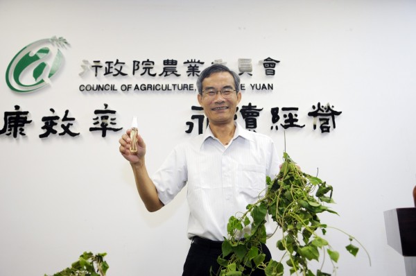 中興大學森林系教授兼系主任盧崑宗將小花蔓澤蘭製成醋液，可有效防治小黑蚊。（農委會提供）