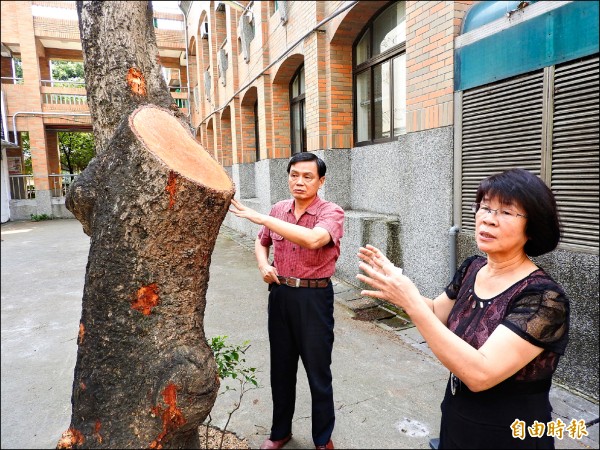 縣文化資產學會理事長梁志忠（左）認為樹幹切面太大是過度修剪，該校主任陳惠珍（右）解釋考量設施安全等不得不做。（記者佟振國攝）