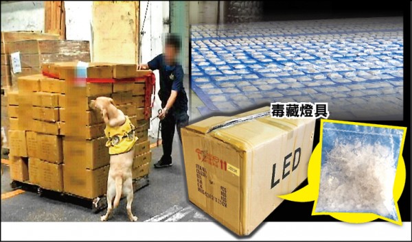 台日聯手破獲173公斤安毒走私案，販毒集團將毒品藏在LED燈具內，台警也派出緝毒犬到基隆海關找毒品，但無所獲。（記者姚岳宏翻攝）