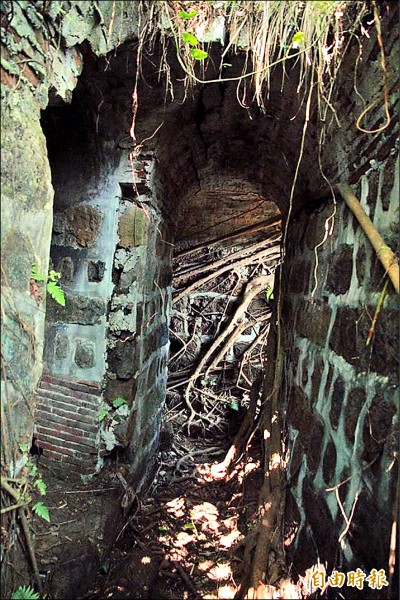 東砲台彈藥庫入口被樹根包覆，內部也須儘速整理。
（記者盧賢秀攝）