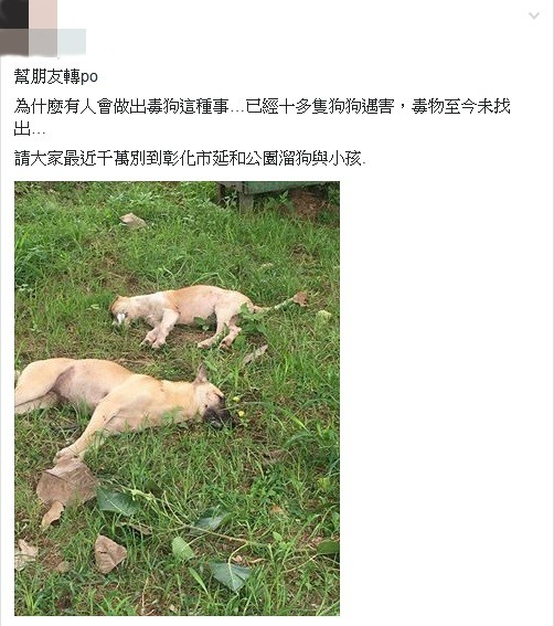 有民眾在網路貼文指出，彰化的延和公園一帶昨驚見10多隻流浪狗躺在草地上，且四肢僵硬、口吐白沫，明顯是遭毒死，讓許多網友看了都怒罵太可惡。（圖擷自爆料公社）