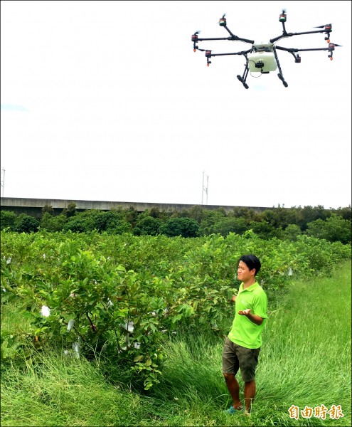 農業局與廠商研發無人飛機高空噴灑農藥與葉面施肥，每小時可噴三．五公頃，比噴藥車快兩至三倍。（記者陳文嬋攝）