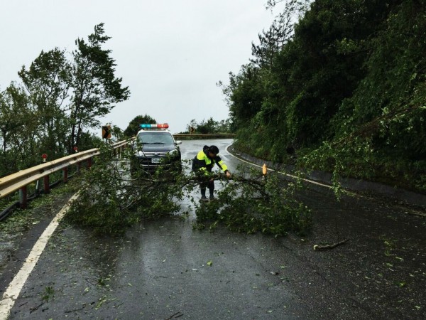 仁愛警分局翠峰派出所員警，在台14甲線22公里路段附近發現被風段落的樹枝。（記者陳鳳麗翻攝）