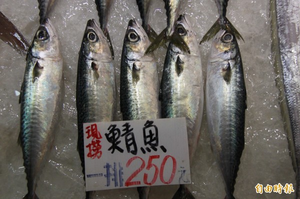 鯖魚前年申報每斤價格是120元，但實際上每斤僅有40元，價差達3倍。（記者林欣漢攝）