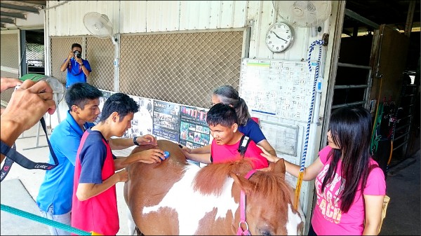 啟明學校視孩子第一次摸馬、刷馬、騎馬，感覺好新鮮。（台北市立啟明學校提供）