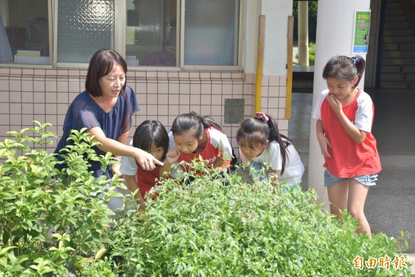 新竹縣寶石國小教師吳皎菁（左），指導學生觀察「育花園」內的蝴蝶等。（記者黃美珠攝）