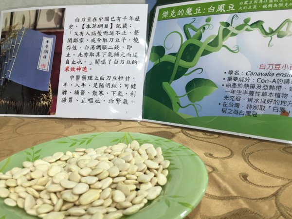 白鳳豆治療膀胱無力 專家 具毒性要小心服用 即時新聞 自由健康網