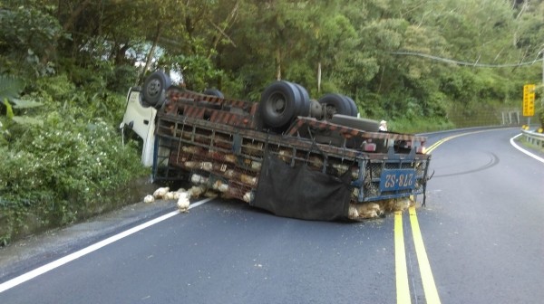 載滿肉雞的小客車翻覆，造成雞隻死亡。（記者陳薏云翻攝自臉書「重機車友│各區路況、天氣回報中心」）