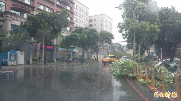 梅姬颱風在桃園發威，多處路樹被吹倒。（記者邱奕統攝）