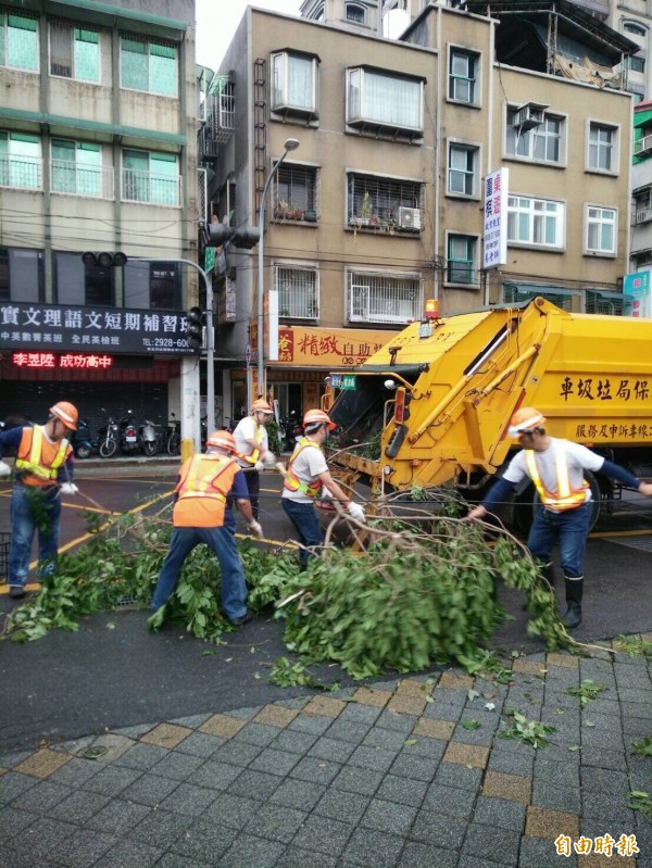 梅姬颱風造成路樹傾倒、樹枝斷落，影響市容也影響通行，新北市清潔隊員一早就動員展開清理。（記者何玉華攝）