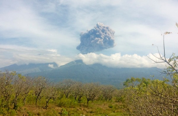 印尼龍目島巴魯加里火山昨日噴發，濃煙產生的灰柱直衝天際，高度約6560英尺（約1999公尺）。（路透）