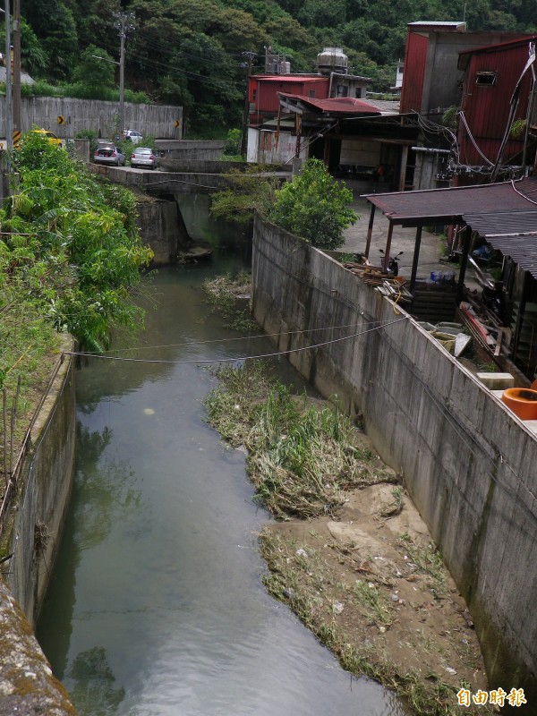 深澳坑溪淤積嚴重，加上橋墩縮減河道，影響排洪。（記者盧賢秀攝）