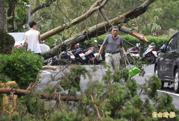 圖為梅姬颱風本島陸上颱風警報28日上午解除，風雨過後民眾整理家園，清理強風吹落的殘枝落葉。（記者廖振輝攝）