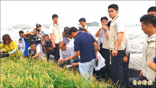 行政院長林全昨天到雲林勘災，了解二期稻作受災情況。（記者黃淑莉攝）