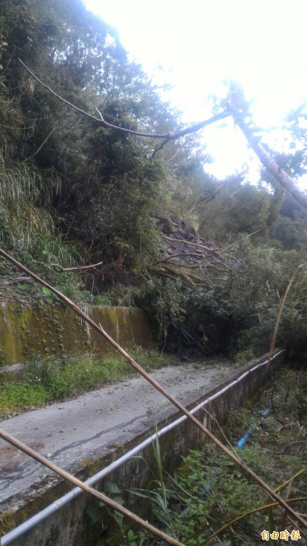 霧鹿村長余元龍傳出部落後方產業道路土石坍方活埋，消息尚待證實。（記者王秀亭攝）