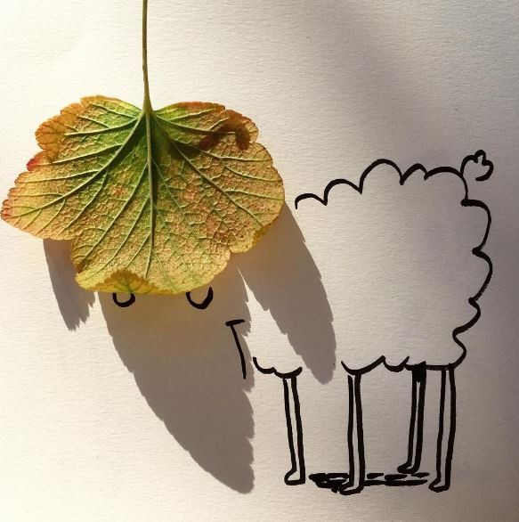 比利時藝術家文森用「影子」作畫，落葉的影子可以繪製綿羊。（圖擷取自vincent_bal的Instagram）