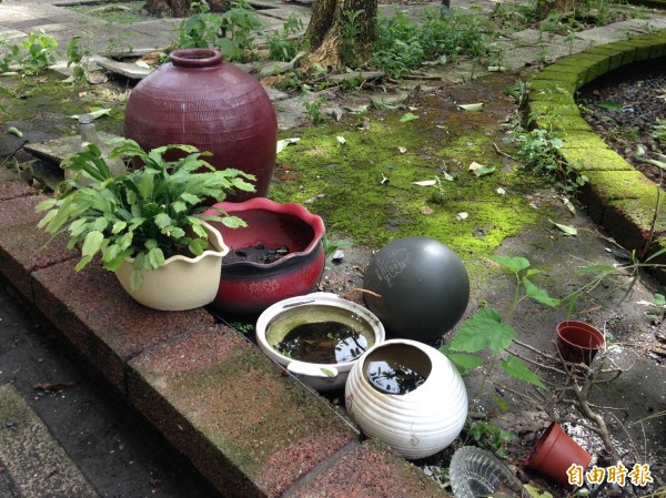 連日大雨影響，高雄市戶外積水容器大增，據衛生局指出，截至昨日全市111里中，有高達25%的里登革熱病媒蚊指數超標。圖為示意圖。（資料照）