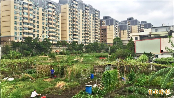 配合新竹市政府開闢公道三安置作業需要，縣府計畫把圖中崙子段縣有地讓售給市府，以籌措老人年金財源。（記者黃美珠攝）