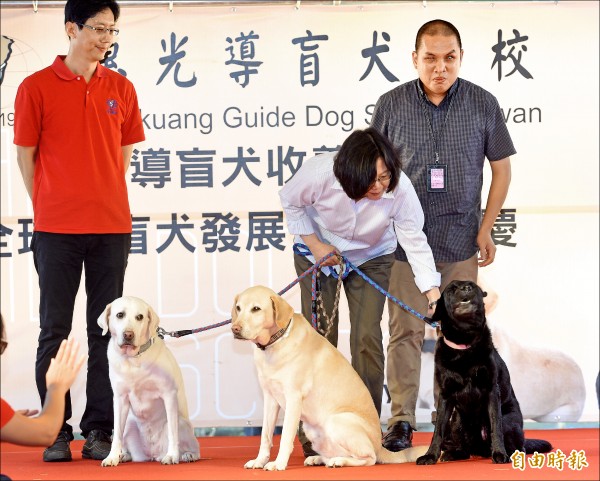 蔡總統收養退役導盲犬（記者羅沛德攝）