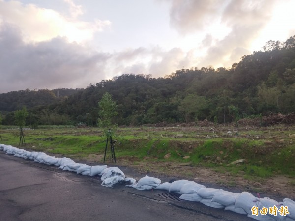 水公司將水源地已有數十年歷史的暖暖綠色隧道大樹剷除，引起居民撻伐。（記者林欣漢攝）