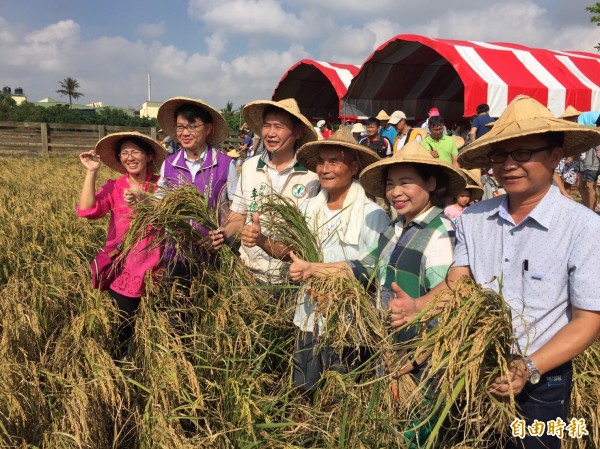 無米樂稻米文化體驗園區割稻活動，崑濱伯（右3）車禍後首度現身大型活動，不少民眾看到崑濱伯行走自如，連聲「恭喜！保重！」（記者王涵平攝）