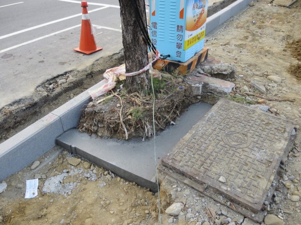 網友指南市北區林森路三段的人行道工程，市府包商用水泥框封住樹穴，是在虐樹！（記者王俊忠擷取自臉書「哭泣的台南樹」）