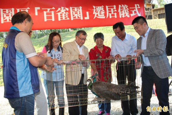 南投日月潭孔雀園的86隻孔雀，今天在管理員張素嬌（右3）代表下，正是跟其他珍禽一起移交給新竹縣，由縣長邱鏡淳（右4）代表接受。（記者黃美珠攝）