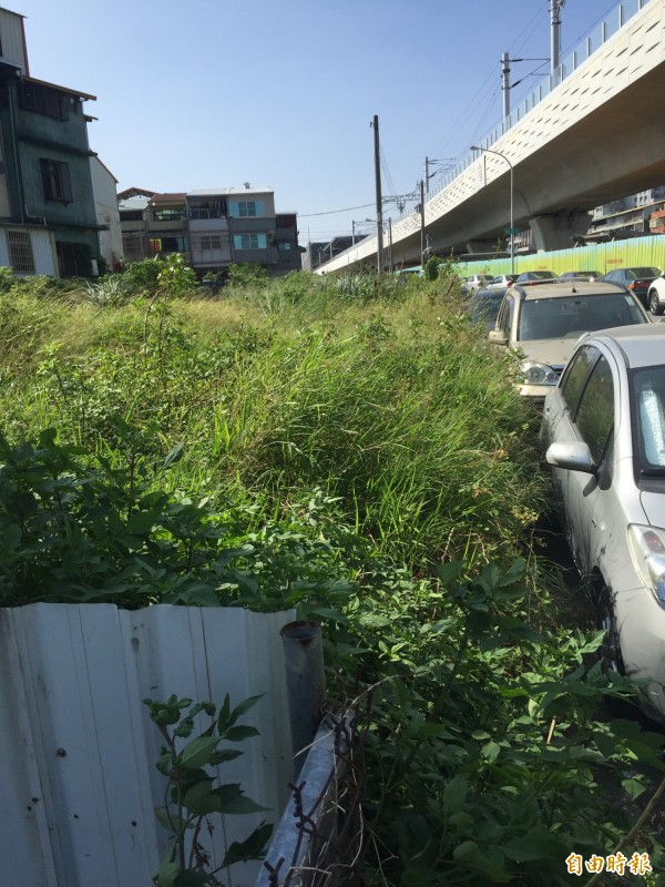 台鐵閒置土地已長滿雜草。（記者李忠憲攝）