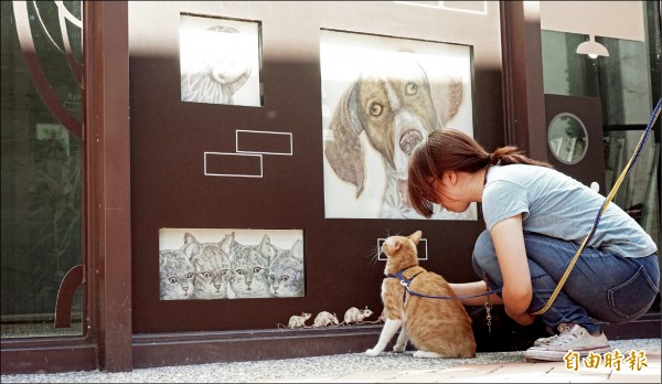 日本駐村藝術家白田誉主也在駁二打造動物公寓，吸引不少遊客停留拍照。（記者黃佳琳攝）