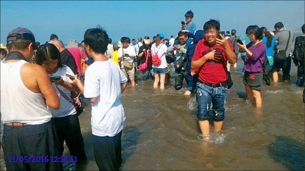 新竹市南寮海邊出現寶可夢稀有寶物乘龍，結果吸引寶迷下海抓寶，誇張行徑讓人覺得不可思議。（照片擷取自臉書「爆系公社寶可夢討論區」）