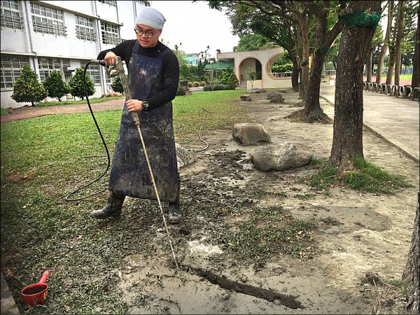 劉東啟的工作團隊用樹刀機剖開樹縫，再塞入空心竹管，這招「水刀斷根透氣法」救活不少病樹。（記者顏宏駿攝）