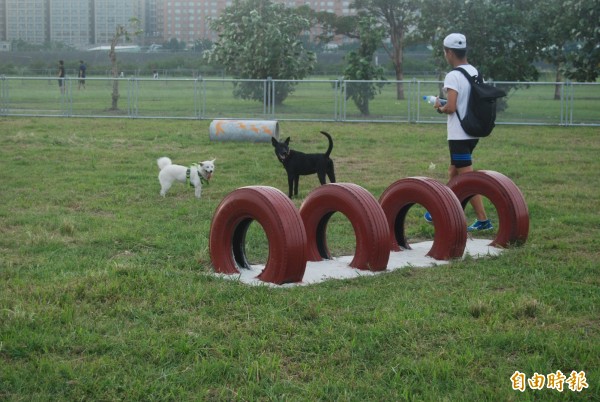 浮洲河濱公園內的寵物公園適合讓毛小孩自由跑跳。（記者張安蕎攝）