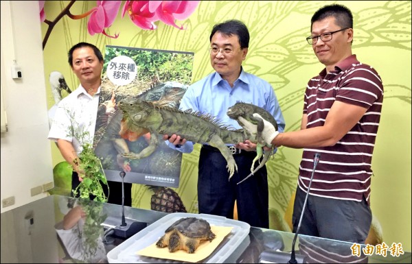 小花蔓澤蘭、綠鬣蜥等外來動植物對本土環境威脅日益擴大，南市農業局呼籲全民參與防入侵工作，不輸、不放、不擴散。（記者王涵平攝）