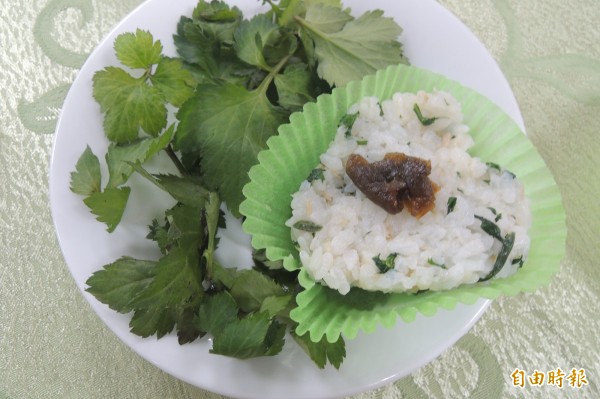 縣農會將辦「尋寶好野趣」活動，讓民眾以在地食材做出美味野餐。 （記者張存薇攝）