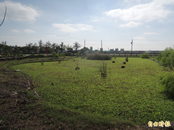 水林瓊埔生態池一改髒亂景象，成為居民休閒新去處。（記者陳燦坤攝）