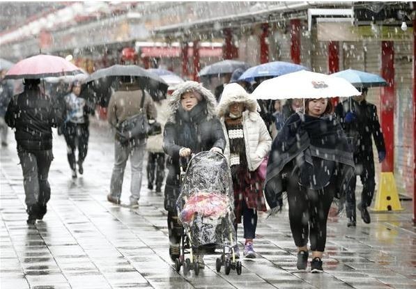 東京淺草降雪景況。（擷取自《產經新聞》）