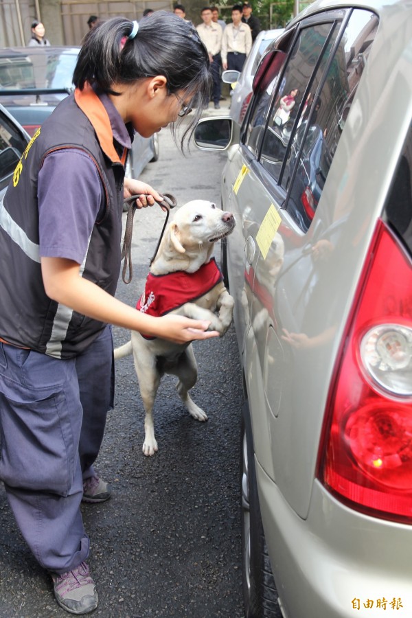 破獲 兩光販毒集團 北檢借調緝毒犬angel嗅聞搜證 社會 自由時報電子報