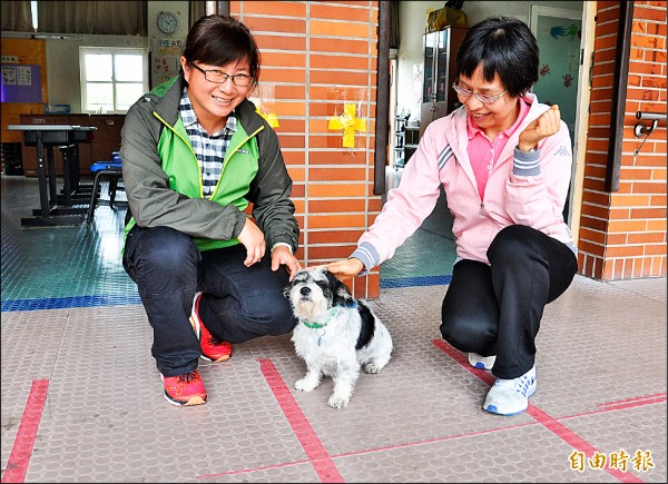 國立苗栗特殊教育學校校犬「點點」十分乖巧，深獲師生喜愛。（記者彭健禮攝）