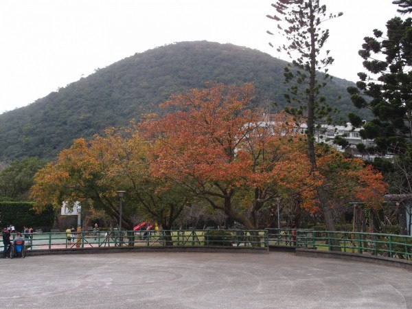 中央氣象局指出，今天（8日）東北季風持續影響，北部、東部迎風面有雨，溫度方面各地早晚偏涼，須留意氣溫變化。（資料照，圖：公園處提供）