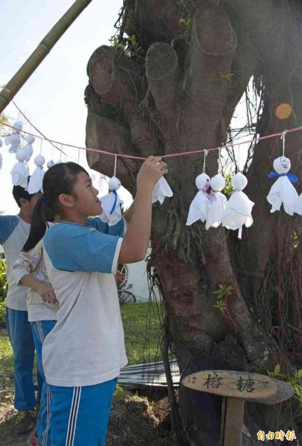 南州國小學生們，在校樹「糖榕」懸掛晴天娃娃。（記者陳冠備攝）