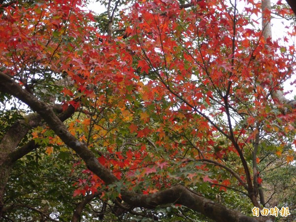 中央氣象局指出，今天（12日）東北季風減弱，北部、宜花溫度回升3到5度。（圖：公園處提供）