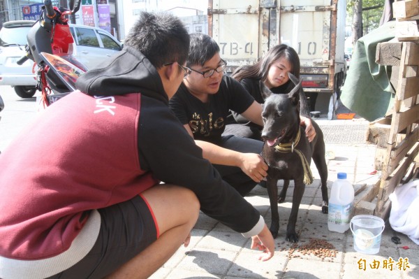 不少民眾帶著狗罐頭、飼料探望在火警中唯一倖存的小黑狗，陪小黑狗玩。（記者劉婉君攝）