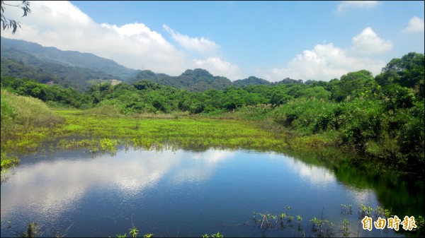 苗栗縣大湖鄉新開村鯉魚潭水庫旁17公頃徵收地，風景秀麗，生態豐富，鄉公所爭取進行低度開發，打造「花之島」發展觀光。（記者蔡政珉攝）