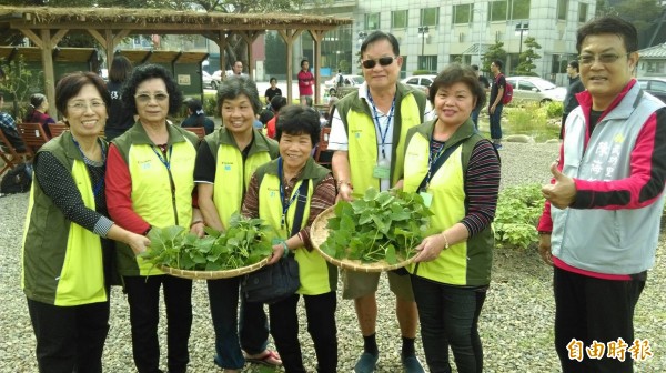 竹市「食物森林」第一批蔬菜歡慶收成。（記者蔡彰盛攝）