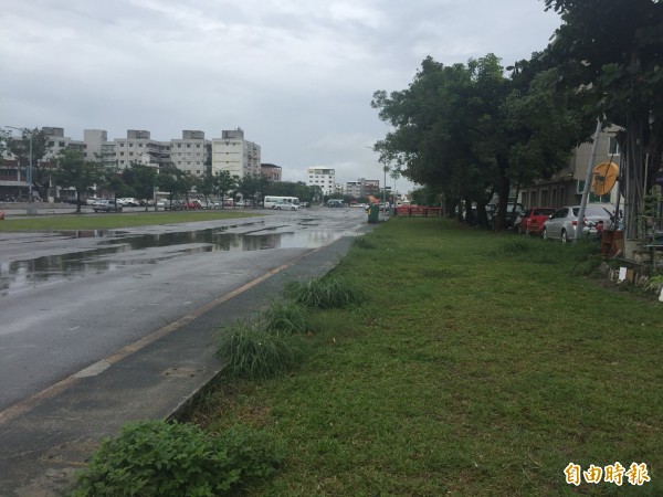 南京大排完成填土已經一年多，如何開發使用卻無聲無息，地主農田水利會等得心急。（記者張存薇攝）