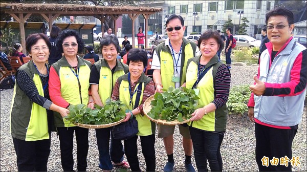 新竹市「食物森林」第一批蔬菜歡慶收成，大家採收、分享番薯葉。（記者蔡彰盛攝）