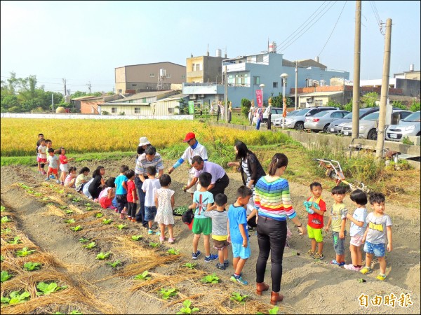 教育部一○五年行動學習推動計畫，苗栗縣獲 五個獎。圖為中山國小進行食農教育課程。（記者蔡政珉攝）