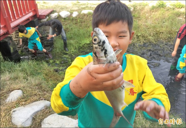 北門區雙春國小學生下池渾水摸魚，捉到虱目魚，小朋友興奮不已「雖然跌倒吃到泥巴，還是很開心。」（記者楊金城攝）