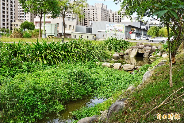 新都公園綠園道生態河流雜草、雜木叢生，幾乎蓋滿河道，相當雜亂。（記者蔡淑媛攝）